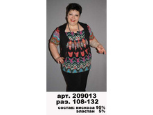 209013 (600-00).jpg