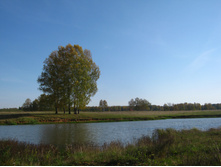 2012-09-23_10-40-01.jpg