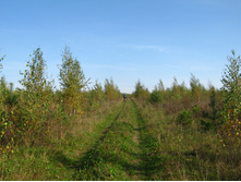 2012-09-23_10-48-09.jpg