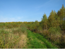 2012-09-23_11-11-42.jpg