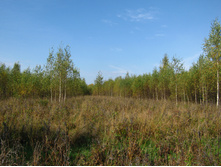 2012-09-23_11-14-55.jpg