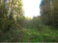 2012-09-23_11-18-06.jpg