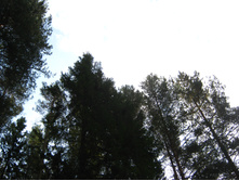 2012-09-23_11-25-09.jpg