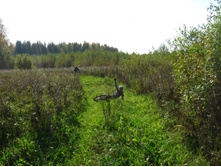 2012-09-23_11-50-13.jpg