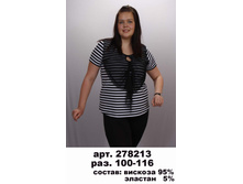 278213 (650-00).jpg