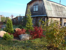 DSC03247.JPG