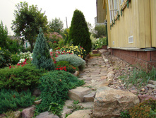 DSC03958.JPG