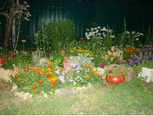 DSC04262.JPG