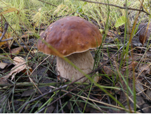 2012-09-13-316.jpg