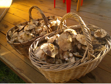 2012-09-17-329.jpg