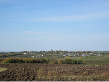 IMG_0800.jpg
