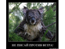 19.08.2010 14:03:06