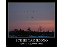 19.08.2010 14:03:41