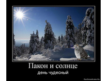 19.08.2010 14:08:02