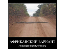 19.08.2010 14:08:34