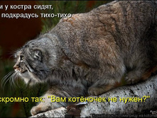 22.12.2008 12:44:37