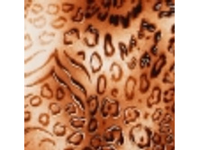 19.08.2010 20:06:47
