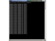 Ping ����� ���� 20111114-02.jpg