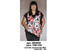 284542 (600-00).jpg