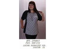 294843 (560-00).jpg