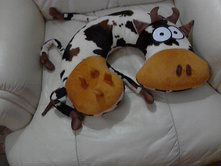Picture 21.jpg