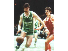 Arvidas Sabonis