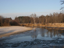 26.12.2008 16:37:38