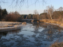 26.12.2008 16:37:44