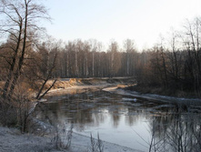 26.12.2008 16:37:51