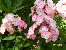 SDC18003.JPG