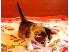 DSC02147.JPG