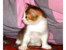 DSC02265.JPG