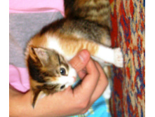 DSC02299.JPG