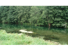 23.08.2010 15:24:56