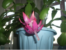 DSCF6502.JPG