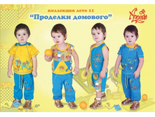 __big__prodelki-domovogo.jpg