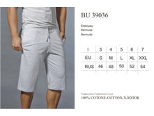 BU39036.jpg004