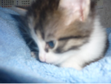 24.08.2010 18:48:32