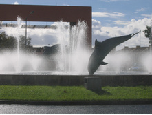 08.01.2009 14:16:22