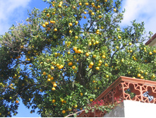 08.01.2009 14:16:27