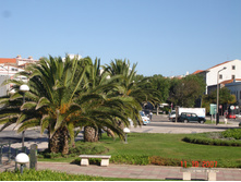 08.01.2009 15:13:43
