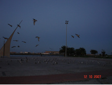 08.01.2009 15:17:55