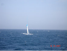 08.01.2009 15:18:47