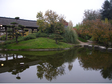 08.01.2009 15:20:09