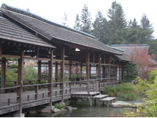 08.01.2009 15:20:41