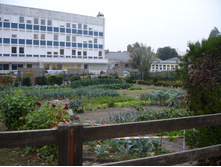 08.01.2009 15:21:07