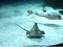 08.01.2009 15:24:29