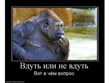 25.08.2010 14:38:36