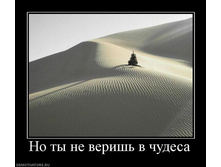 25.08.2010 14:38:41