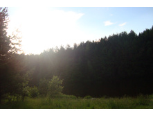 25.08.2010 19:44:44